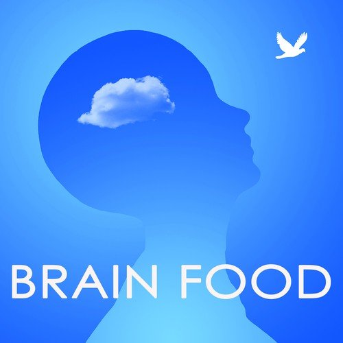 Brain Study Music Specialists Songs MP3 Download